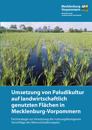 Titel Umsetzung von Paludikultur auf landwirtschaftlich genutzten Flächen in M-V