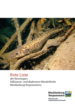 Titelblatt Rote Liste der Neunaugen, Süßwasser- und diadromen Wanderfische