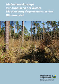 Titel Maßnahmenkonzept zur Anpassung der Wälder Mecklenburg-Vorpommerns an den Klimawandel