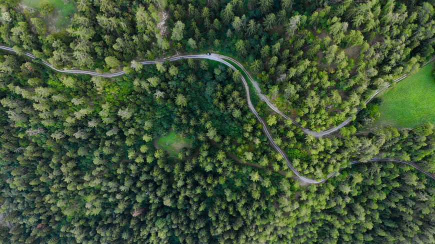 Symbolfoto: Luftbild (senkrecht von oben) eines Waldweges mit Gabelung